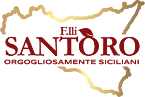 santoroconserve